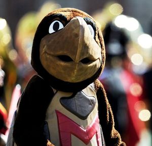 testudo statue